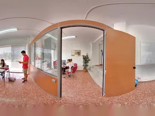 Ficha de Academia A plus Elche / Universidad. Oposiciones. Primaria. ESO. BAT