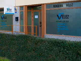 Ficha de Academia Vélez